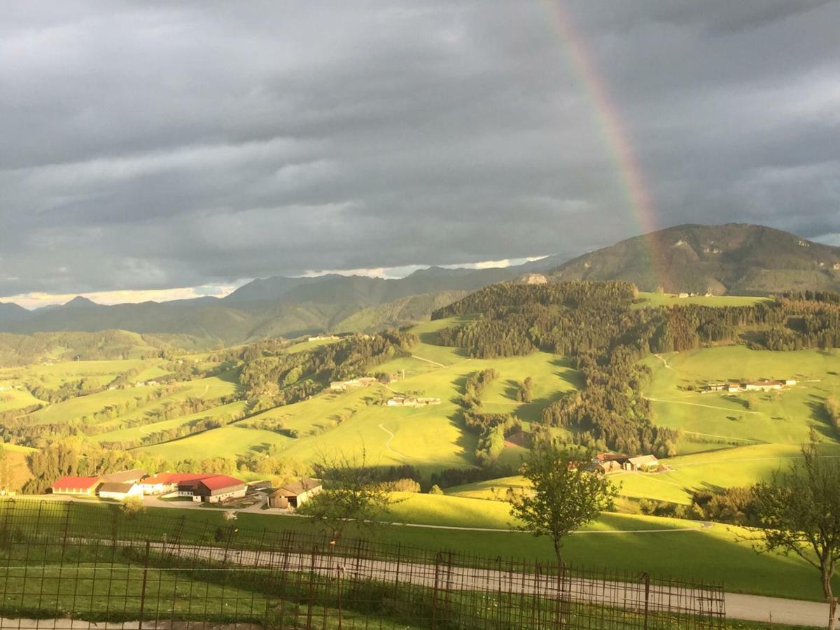 Ferienwohnungen Koessl Waidhofen an der Ybbs Esterno foto