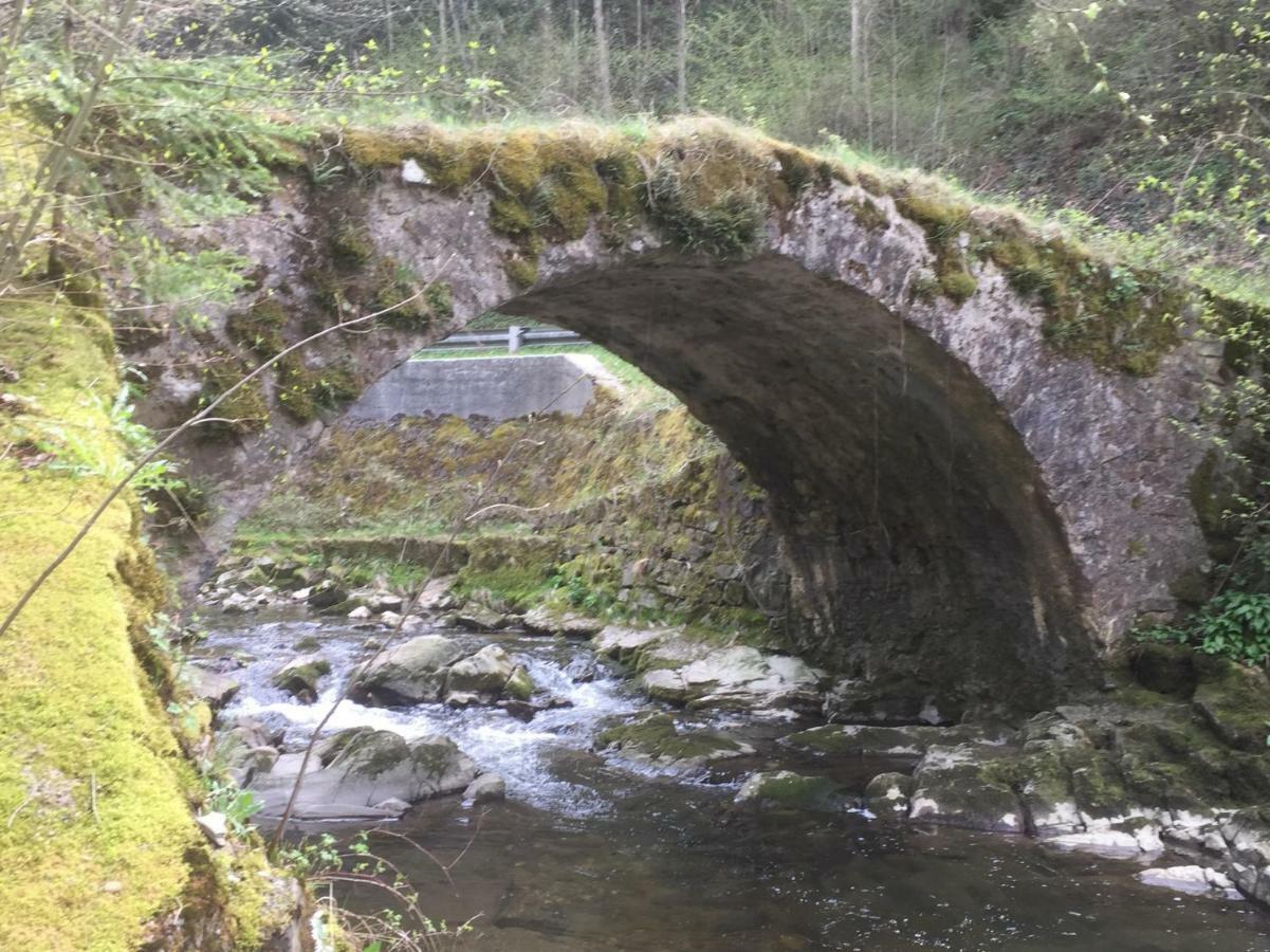 Ferienwohnungen Koessl Waidhofen an der Ybbs Esterno foto